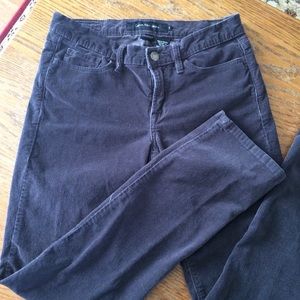 Calvin Klein Jeans gray corduroy straight cut pant